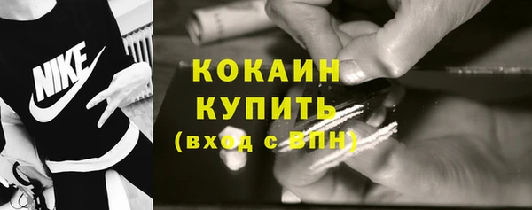 PSILOCYBIN Горно-Алтайск