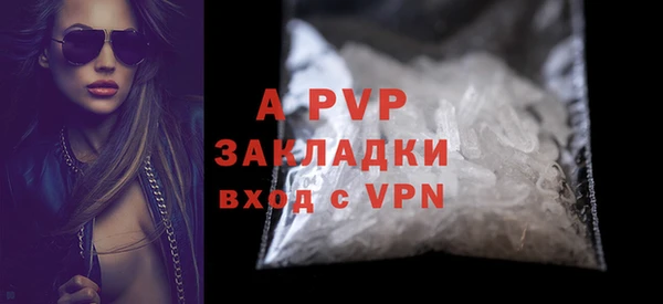 ECSTASY Гусь-Хрустальный