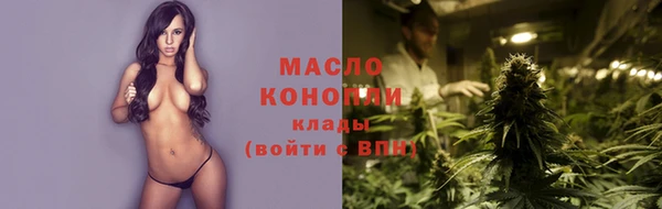 ECSTASY Гусь-Хрустальный