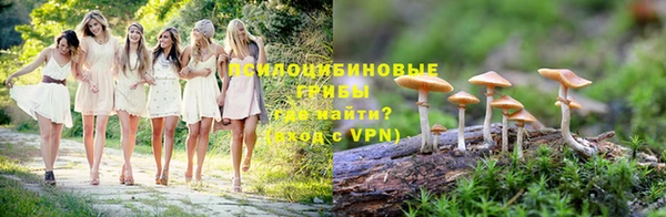 первитин Гусев