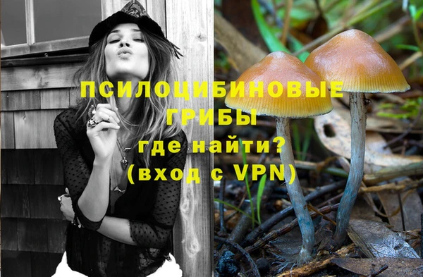 прущие крисы Магадан
