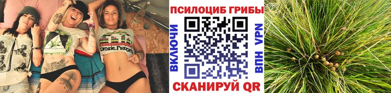 Галлюциногенные грибы GOLDEN TEACHER  kraken онион  Десногорск 